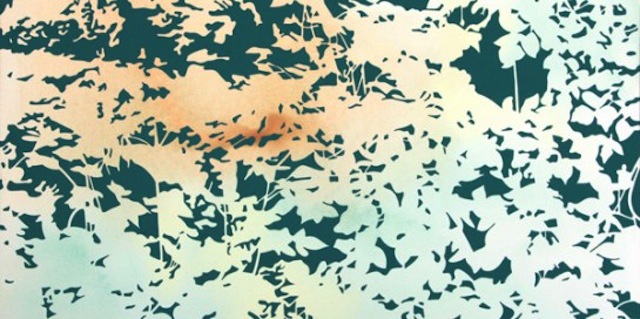 Mindy Bray: The Geography of Looking from adobeairstream.com