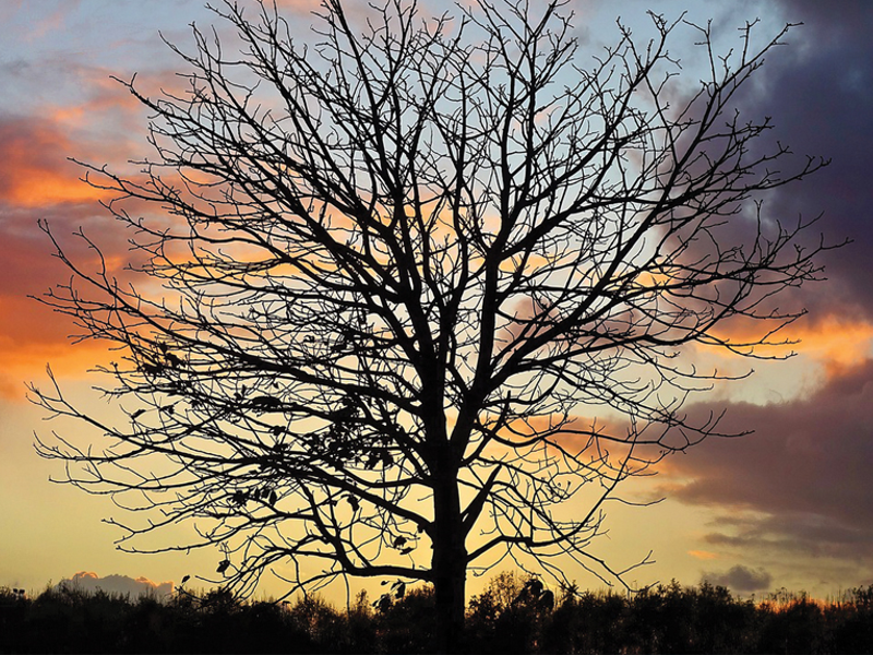 Montrose’s Death Cafe